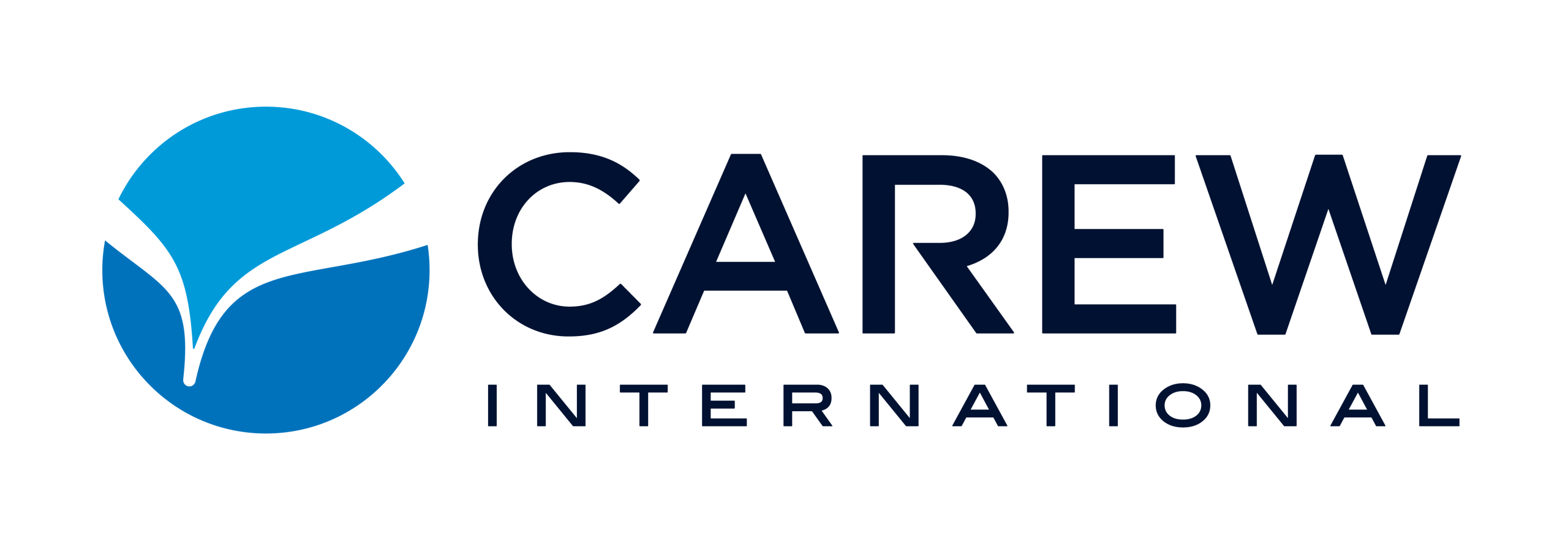 Carew Logo Horizontal